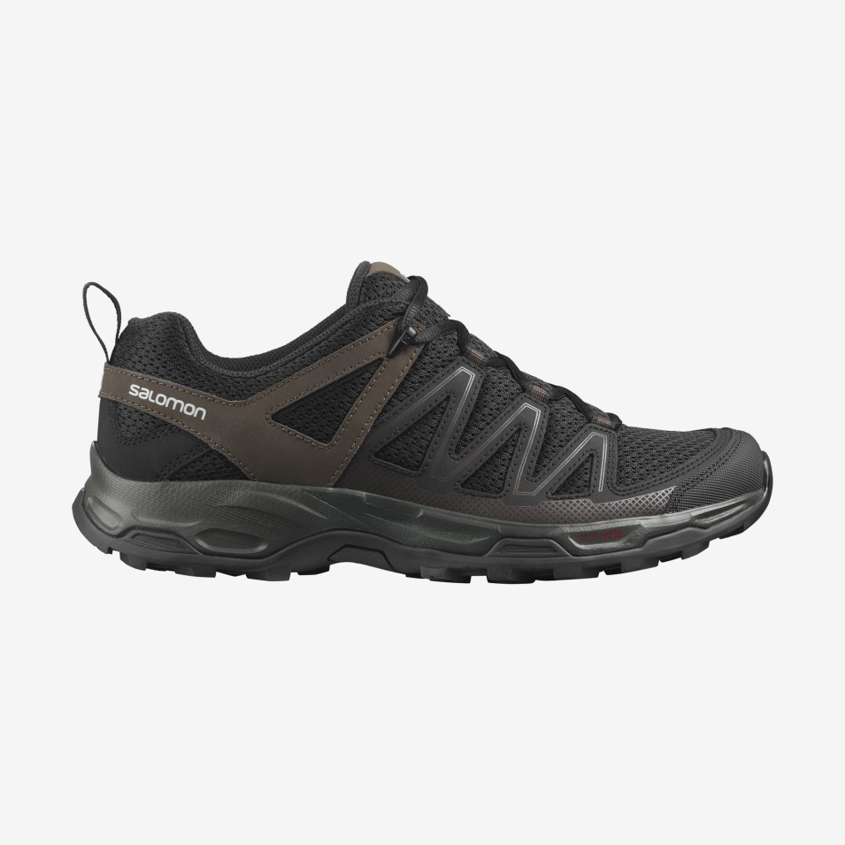 Herre Tursko Pathfinder Black-wren